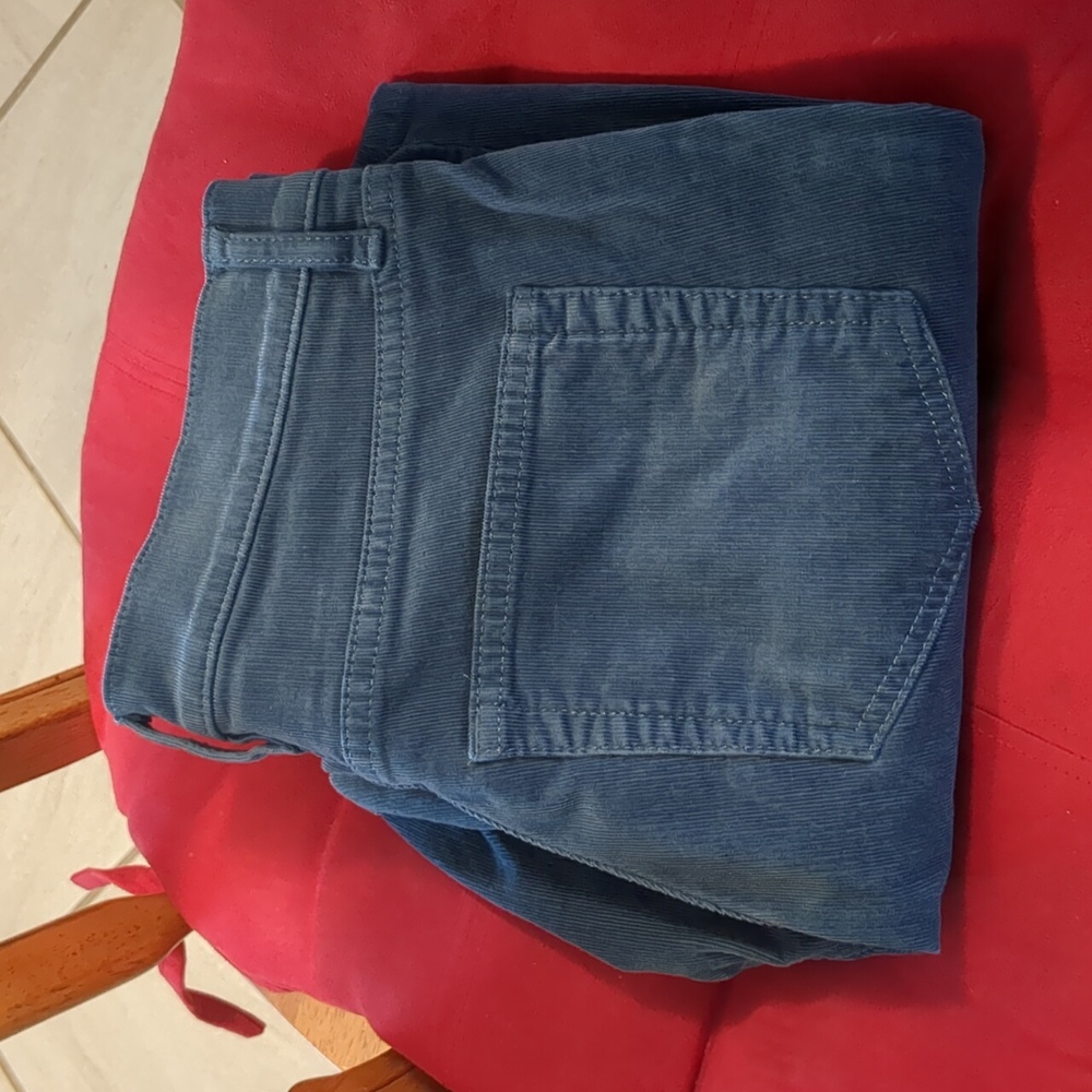 Loft Wedgewood Blue Corduroy Skinny Pants 28/6P - Picture 12 of 12